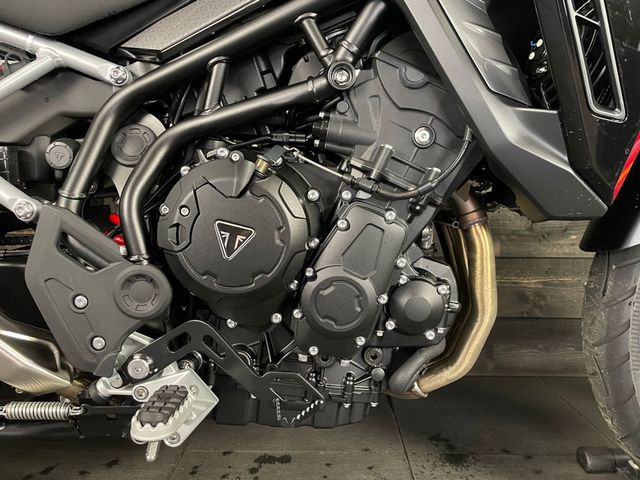 triumph - tiger-900-gt-pro