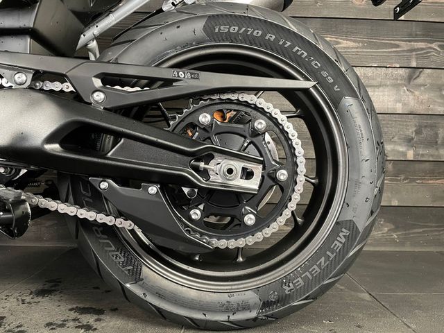 triumph - tiger-900-gt-pro