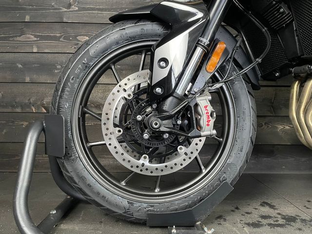 triumph - tiger-900-gt-pro