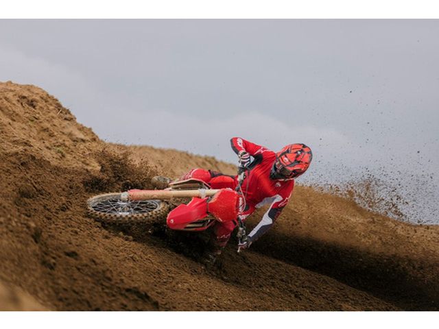 ducati - desmo-450-mx