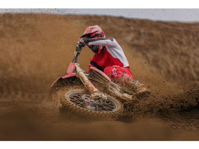 ducati - desmo-450-mx