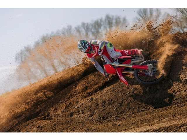 ducati - desmo-450-mx