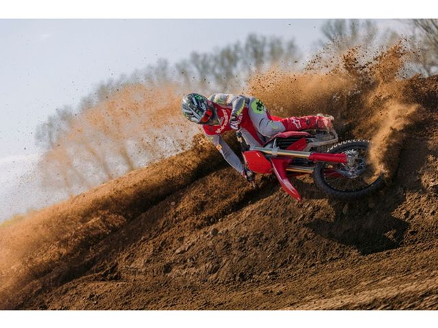 ducati - desmo-450-mx