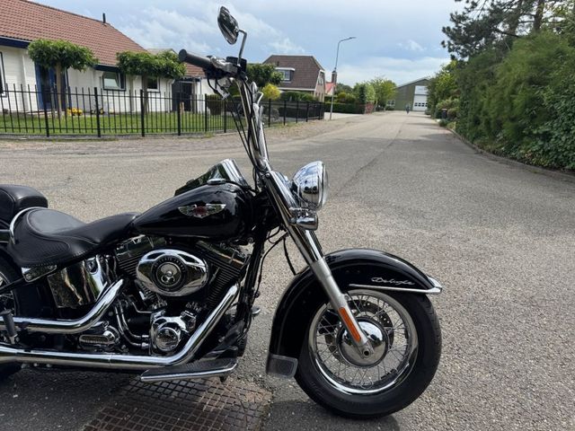 harley-davidson - softail-deluxe