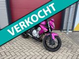 KAWASAKI ER 6 N
