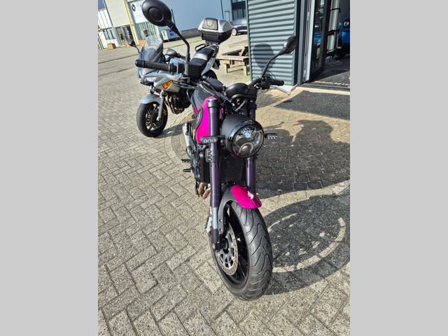 benelli - leoncino-500