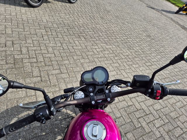 benelli - leoncino-500