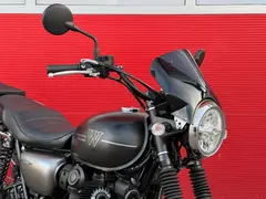 Kawasaki W800 2021 occasion – foto 6 van 24