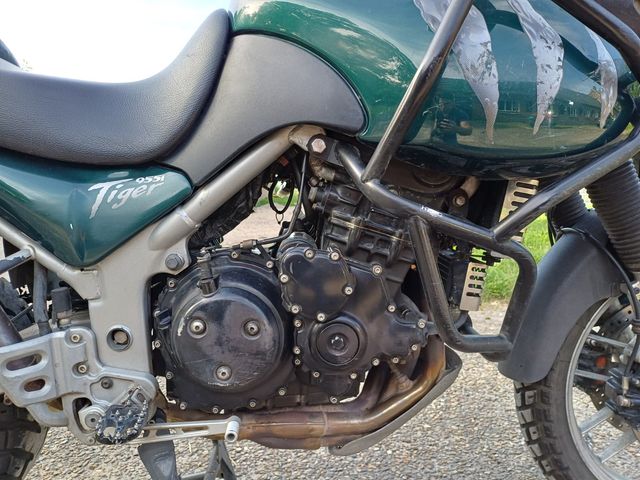 triumph - 955-i-tiger