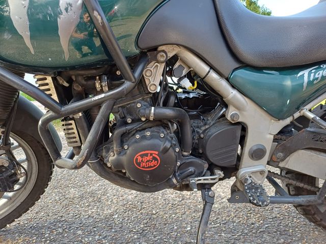 triumph - 955-i-tiger