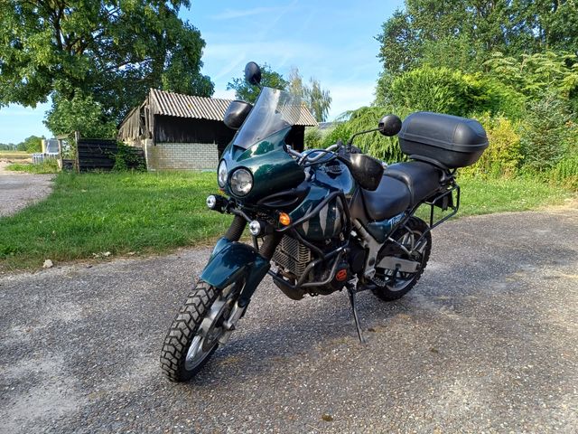 triumph - 955-i-tiger