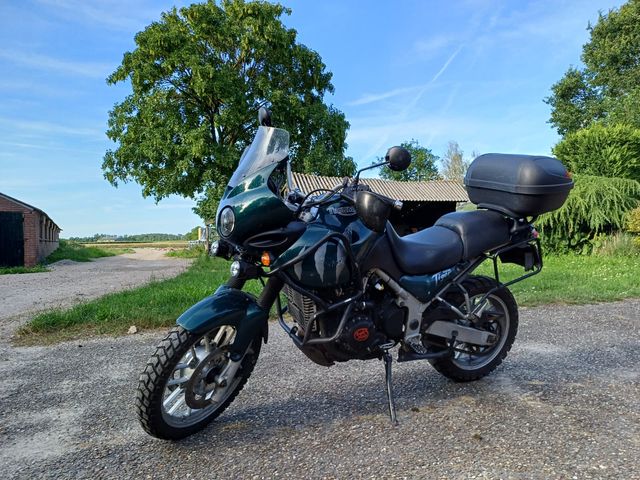 triumph - 955-i-tiger