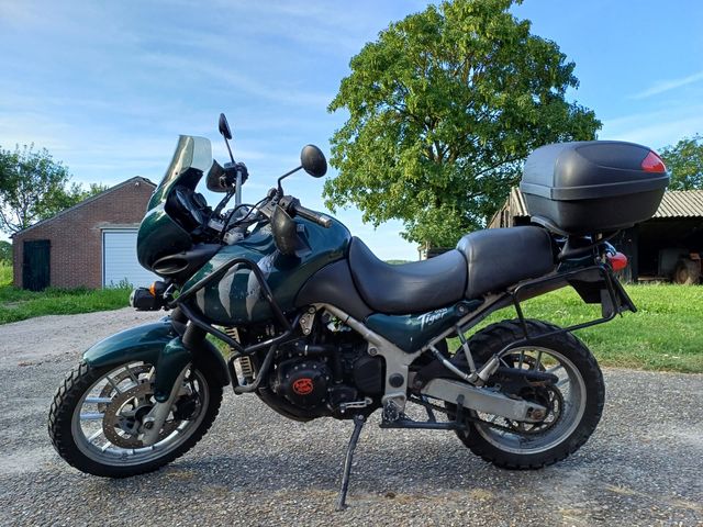 triumph - 955-i-tiger