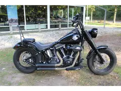 Harley-Davidson Softail 103 FLS Softail Slim 2015 occasion – foto 5 van 12