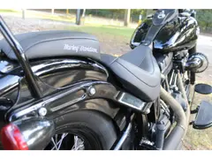 Harley-Davidson Softail 103 FLS Softail Slim 2015 occasion – foto 11 van 12