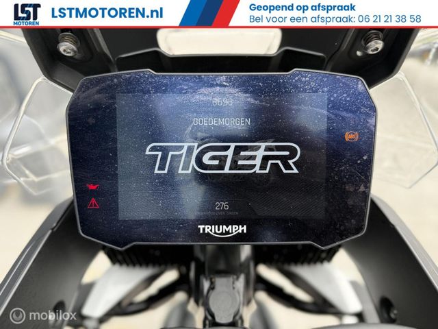 triumph - tiger-900-gt