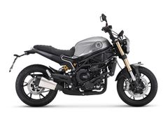 BENELLI LEONCINO 800