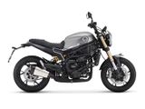 BENELLI LEONCINO 800