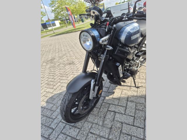 yamaha - xsr-900