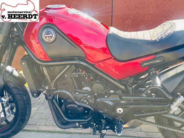 benelli - leoncino-500