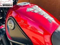 Benelli Leoncino 500 2021 occasion – foto 13 van 18