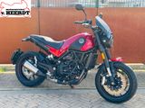 BENELLI LEONCINO 500
