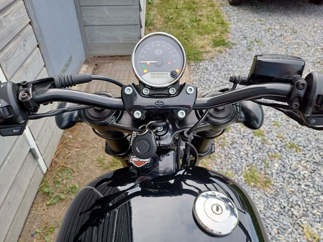 harley-davidson - street-rod