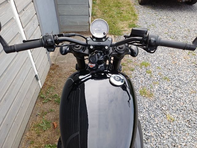 harley-davidson - street-rod