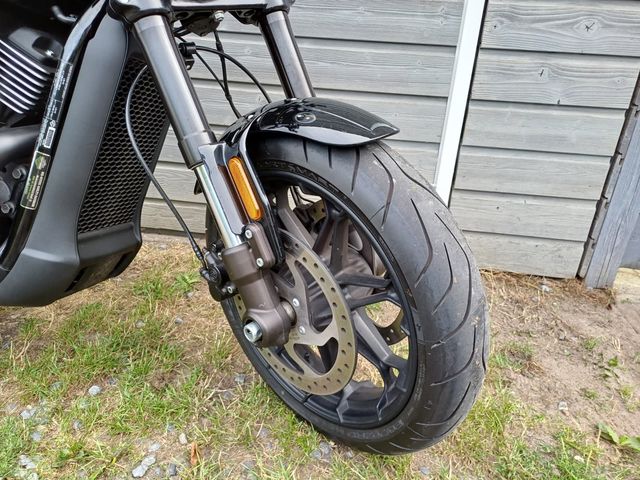harley-davidson - street-rod