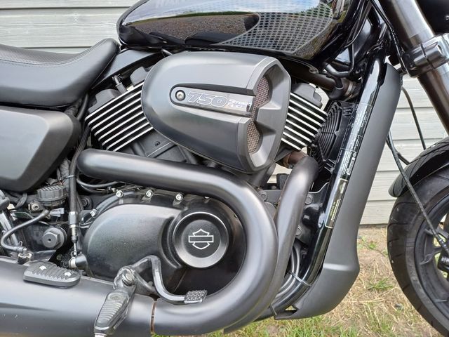 harley-davidson - street-rod