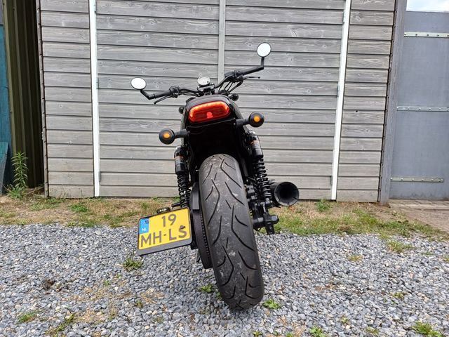 harley-davidson - street-rod