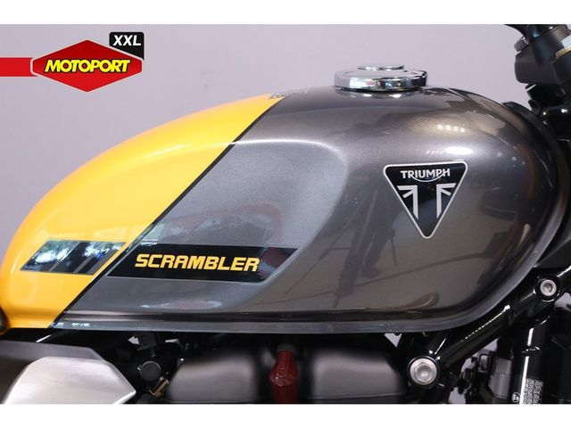 triumph - scrambler-900