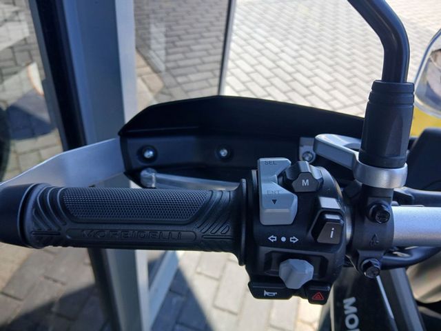 MORBIDELLI - t-502-x