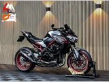 KAWASAKI Z900 PERFORMANCE