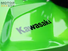 Kawasaki Z 650 S 35 KW 2026 occasion – foto 9 van 14
