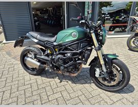 Benelli Leoncino 800 2022 occasion