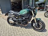 BENELLI LEONCINO 800