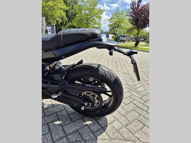 benelli - leoncino-800