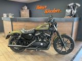 HARLEY-DAVIDSON SPORTSTER IRON XL 883 N