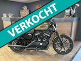 HARLEY-DAVIDSON SPORTSTER IRON XL 883 N