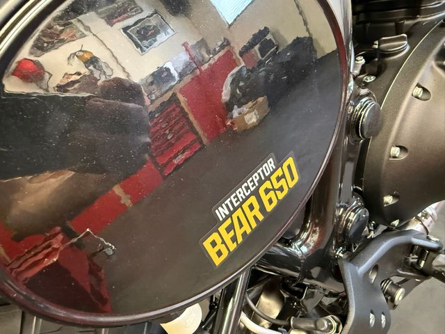 royal-enfield - bear-650