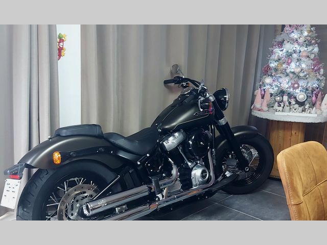 harley-davidson - softail-slim-flsl