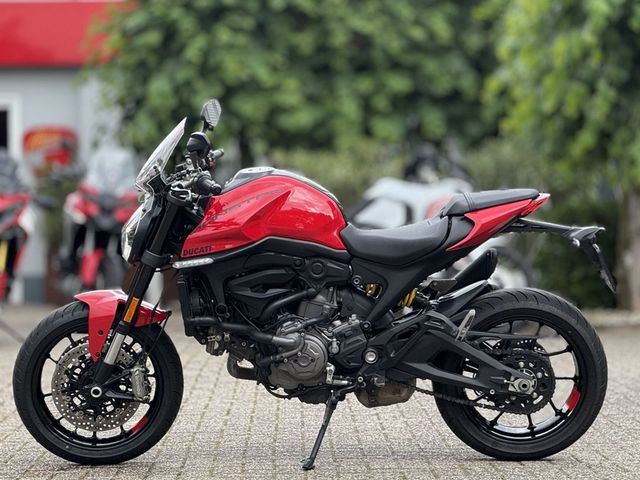 ducati - monster