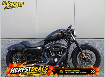 Harley-Davidson Iron 883 2015 occasion