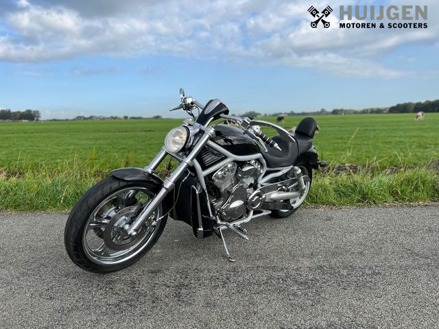 harley-davidson - v-rod-vrsca