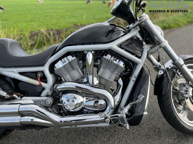 harley-davidson - v-rod-vrsca