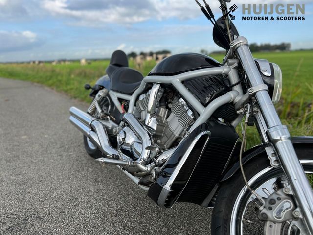 harley-davidson - v-rod-vrsca