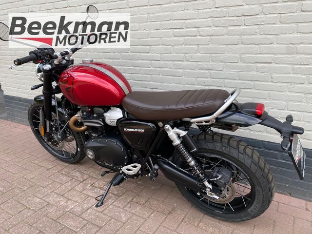 triumph - scrambler-1200-x