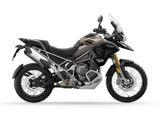 TRIUMPH TIGER 1200 RALLY PRO