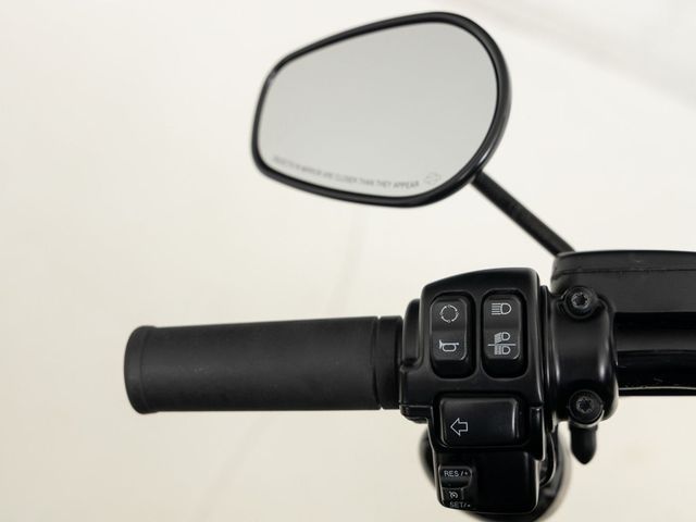 harley-davidson - softail-slim-s-flss